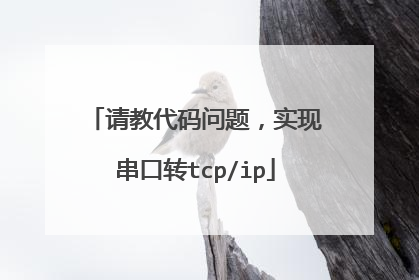 请教代码问题,实现串口转tcp/ip