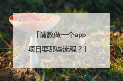 请教做一个app项目要那些流程？