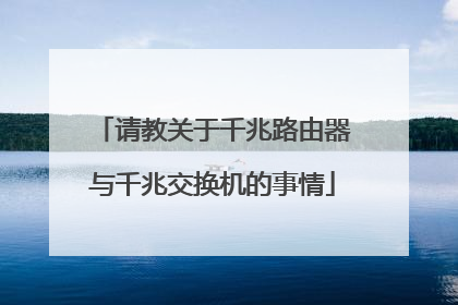 请教关于千兆路由器与千兆交换机的事情