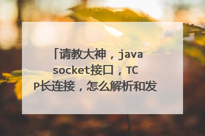 请教大神，java socket接口，TCP长连接，怎么解析和发送一种协议格式数据包
