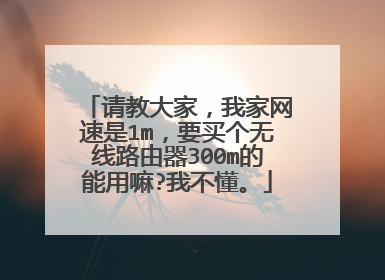 请教大家，我家网速是1m，要买个无线路由器300m的能用嘛?我不懂。