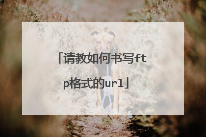 请教如何书写ftp格式的url