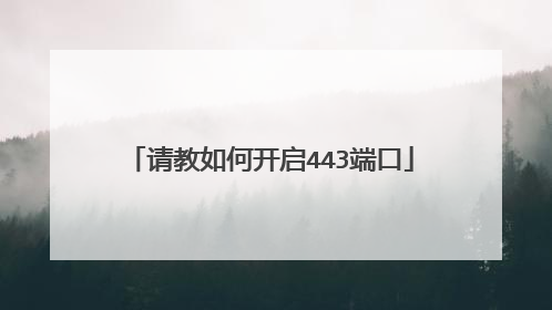 请教如何开启443端口