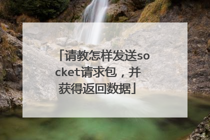 请教怎样发送socket请求包，并获得返回数据