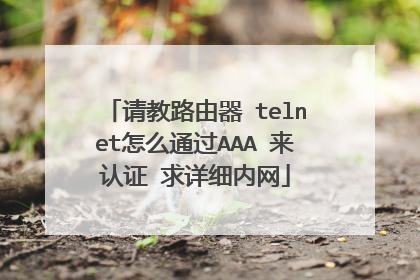 请教路由器 telnet怎么通过AAA 来认证 求详细内网
