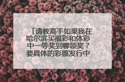 请教高手如果我在哈尔滨买福彩和体彩中一等奖到哪领奖？要具体的彩票发行中心和门号街交口！