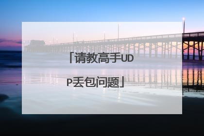 请教高手UDP丢包问题