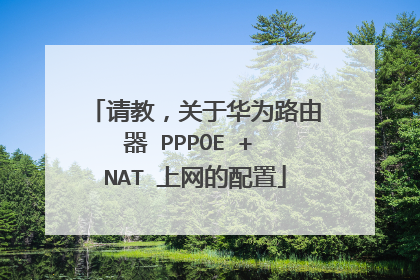 请教,关于华为路由器 PPPOE + NAT 上网的配置