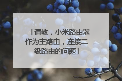 请教，小米路由器作为主路由，连接二级路由的问题