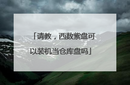 请教，西数紫盘可以装机当仓库盘吗