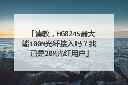 请教,HG8245最大能100M光纤接入吗?我已是20M光纤用户