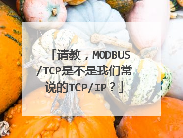 请教，MODBUS/TCP是不是我们常说的TCP/IP？