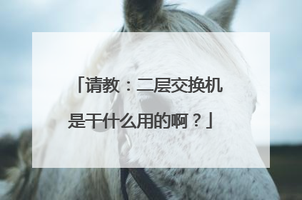 请教:二层交换机是干什么用的啊?
