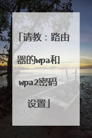 请教：路由器的wpa和wpa2密码设置