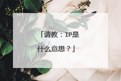 请教：IP是什么意思？