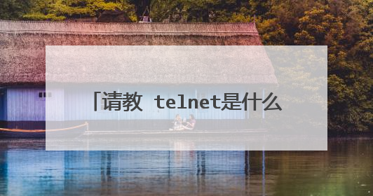 请教 telnet是什么?怎样进入 telnet