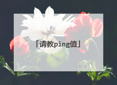 请教ping值