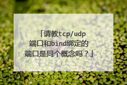 请教tcp/udp端口和bind绑定的端口是同个概念吗？