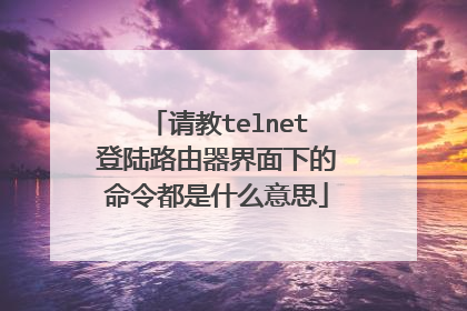请教telnet登陆路由器界面下的命令都是什么意思