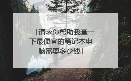 请求你帮助我查一下最便宜的笔记本电脑需要多少钱