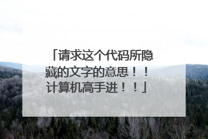请求这个代码所隐藏的文字的意思!!计算机高手进!!