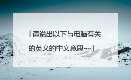请说出以下与电脑有关的英文的中文意思~~