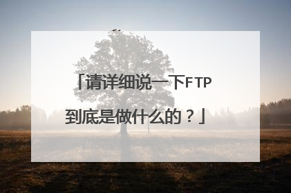 请详细说一下FTP到底是做什么的？