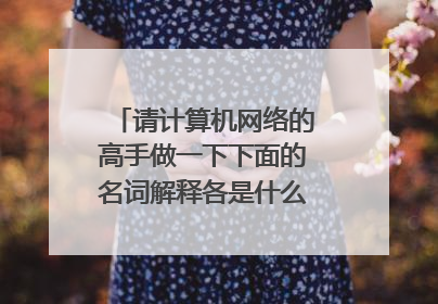 请计算机网络的高手做一下下面的名词解释各是什么意思，谢谢