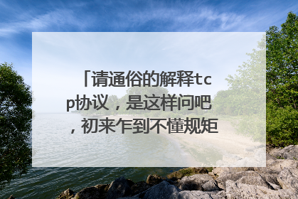 请通俗的解释tcp协议,是这样问吧,初来乍到不懂规矩,请多多包含哦