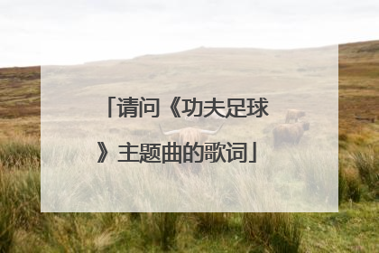 请问《功夫足球》主题曲的歌词