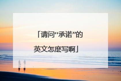 请问“承诺”的英文怎麽写啊