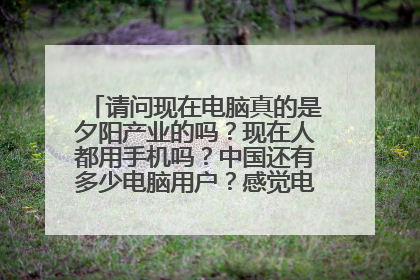 请问现在电脑真的是夕阳产业的吗?现在人都用手机吗?中国还有多少电脑用户?感觉电脑店越来越少