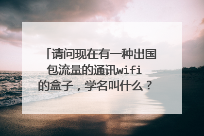 请问现在有一种出国包流量的通讯wifi的盒子，学名叫什么？外国人到国内来也要包这个盒子。