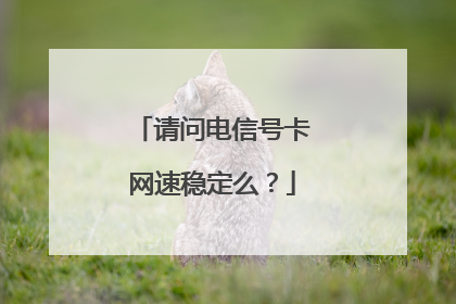 请问电信号卡网速稳定么?