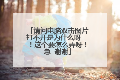 请问电脑双击图片打不开是为什么呀 !这个要怎么弄呀! 急 谢谢