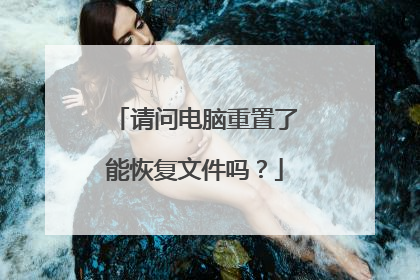 请问电脑重置了能恢复文件吗?