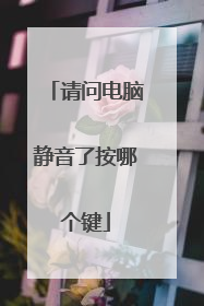 请问电脑静音了按哪个键