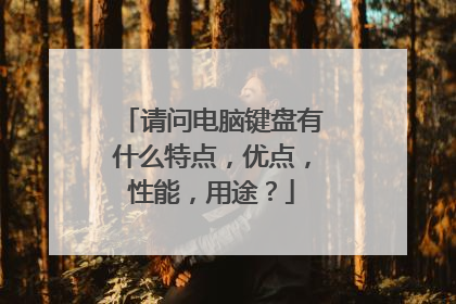 请问电脑键盘有什么特点，优点，性能，用途？