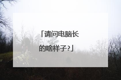 请问电脑长的啥样子?