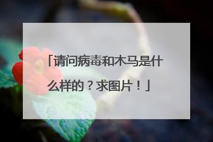 请问病毒和木马是什么样的?求图片!