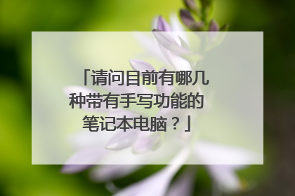 请问目前有哪几种带有手写功能的笔记本电脑?