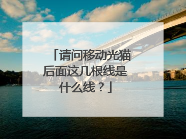 请问移动光猫后面这几根线是什么线？