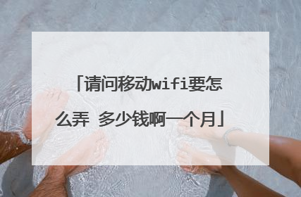 请问移动wifi要怎么弄 多少钱啊一个月