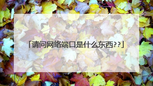 请问网络端口是什么东西??