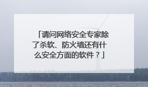请问网络安全专家除了杀软、防火墙还有什么安全方面的软件？