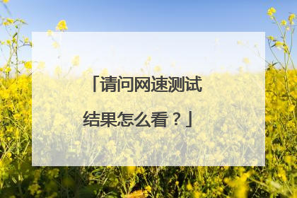 请问网速测试结果怎么看？