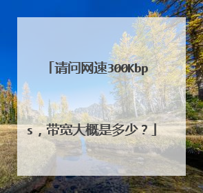 请问网速300Kbps，带宽大概是多少？