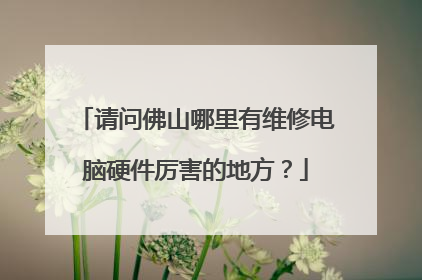 请问佛山哪里有维修电脑硬件厉害的地方?