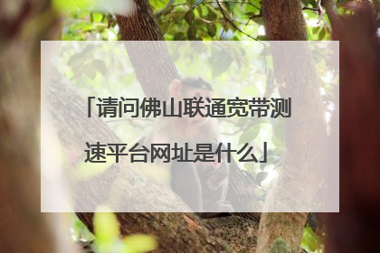请问佛山联通宽带测速平台网址是什么