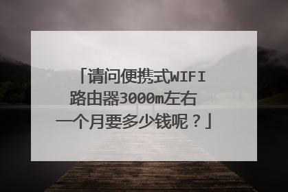 请问便携式WIFI路由器3000m左右一个月要多少钱呢？